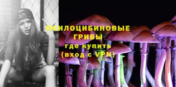 шишки Алексин