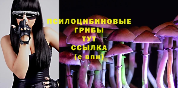 скорость Абаза