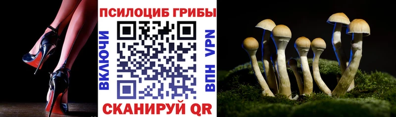 Галлюциногенные грибы Psilocybe  Касимов 